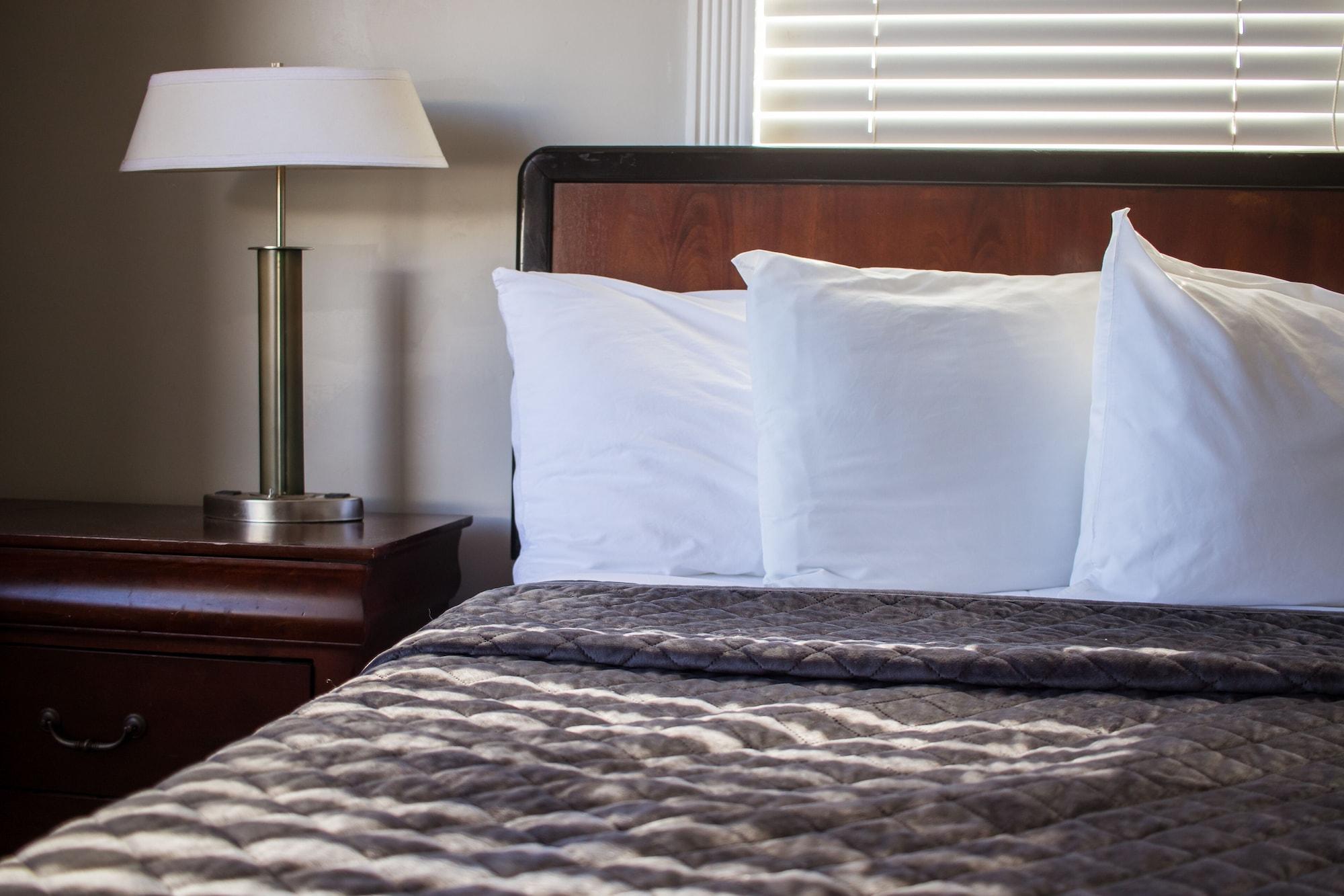 Riptide Oceanfront Hotel Hollywood Esterno foto